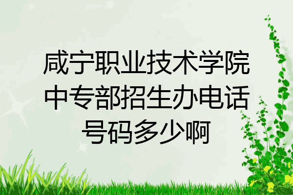 咸宁职业技术学院中专部招生办电话号码多少啊