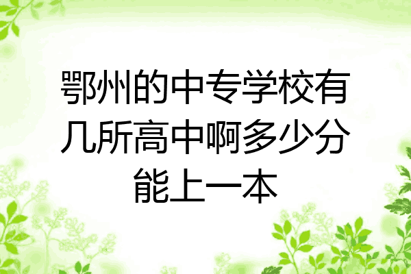鄂州的中专学校有几所高中啊多少分能上一本