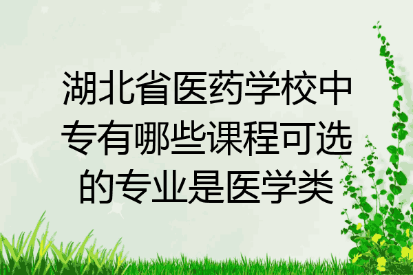 湖北省医药学校中专有哪些课程可选的专业是医学类