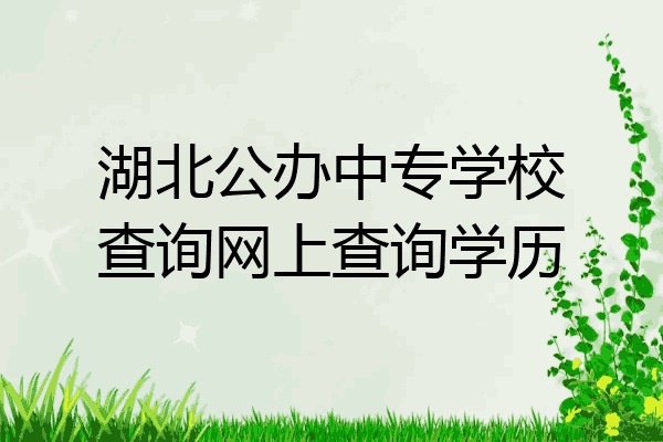 湖北公办中专学校查询网上查询学历