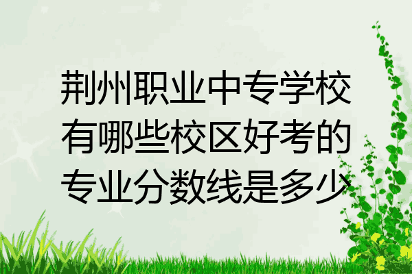 荆州职业中专学校有哪些校区好考的专业分数线是多少