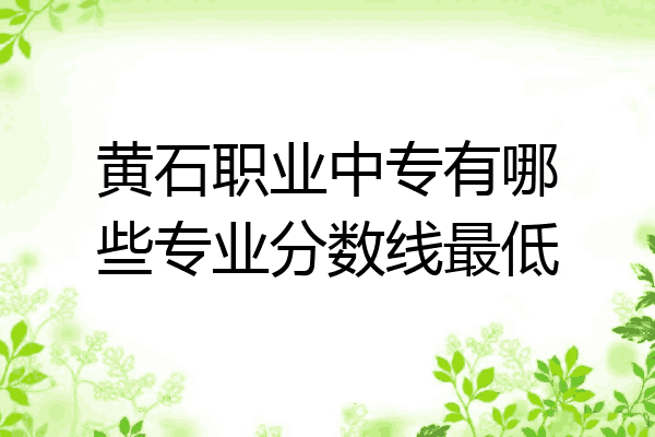 黄石职业中专有哪些专业分数线最低