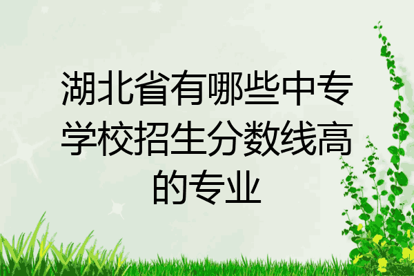 湖北省有哪些中专学校招生分数线高的专业