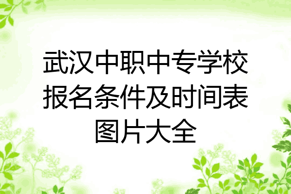 武汉中职中专学校报名条件及时间表图片大全