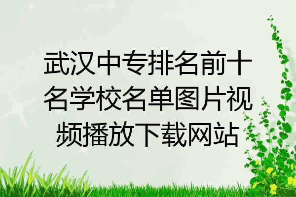武汉中专排名前十名学校名单图片视频播放下载网站