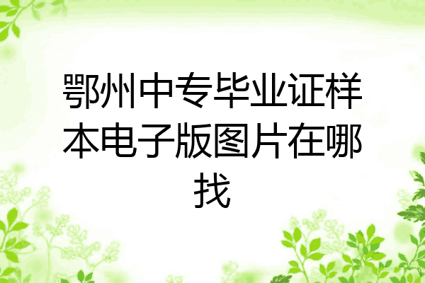 鄂州中专毕业证样本电子版图片在哪找