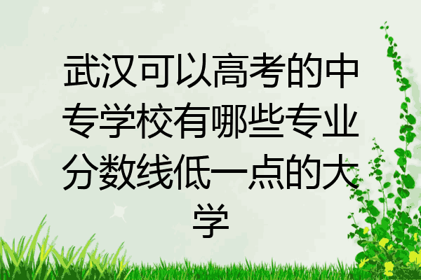 武汉可以高考的中专学校有哪些专业分数线低一点的大学