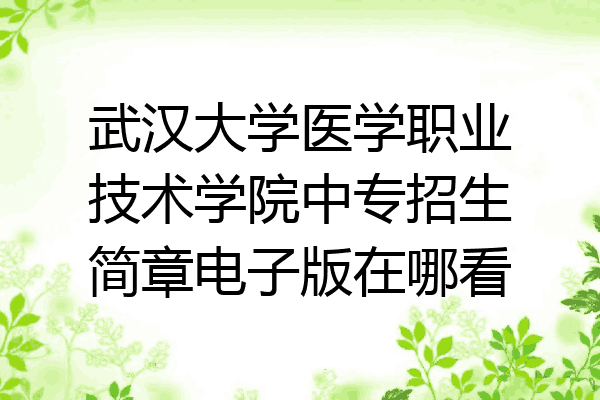 武汉大学医学职业技术学院中专招生简章电子版在哪看
