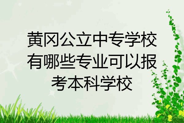 黄冈公立中专学校有哪些专业可以报考本科学校