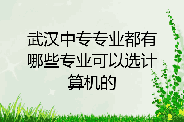 武汉中专专业都有哪些专业可以选计算机的