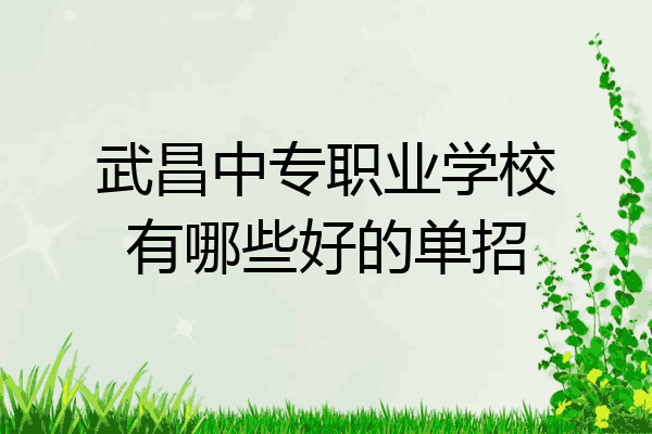 武昌中专职业学校有哪些好的单招