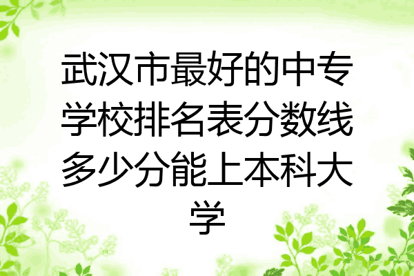 武汉市最好的中专学校排名表分数线多少分能上本科大学
