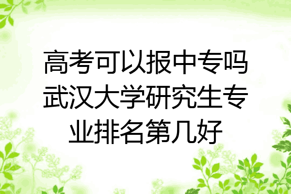 高考可以报中专吗武汉大学研究生专业排名第几好