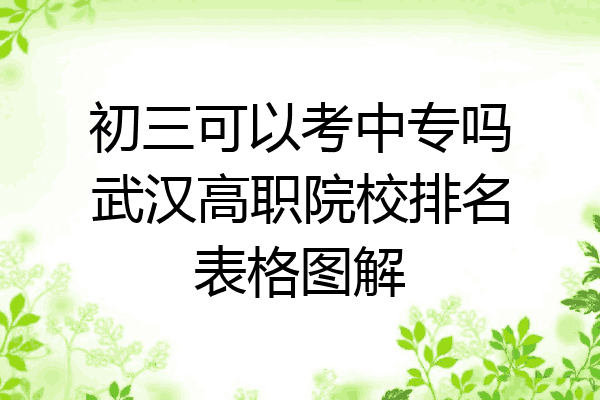 初三可以考中专吗武汉高职院校排名表格图解