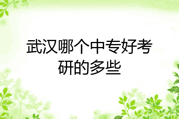 武汉哪个中专好考研的多些