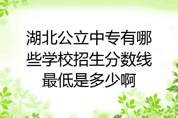 湖北公立中专有哪些学校招生分数线最低是多少啊