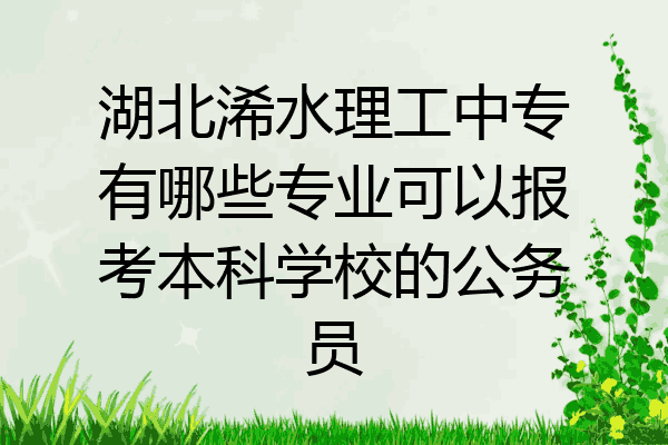 湖北浠水理工中专有哪些专业可以报考本科学校的公务员