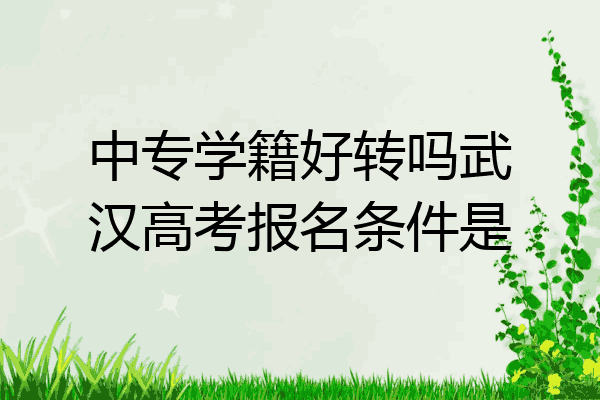 中专学籍好转吗武汉高考报名条件是