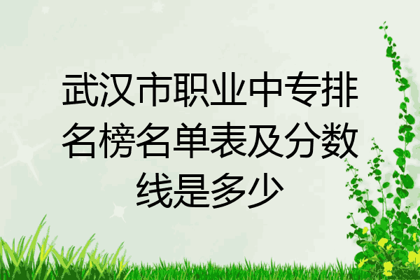 武汉市职业中专排名榜名单表及分数线是多少