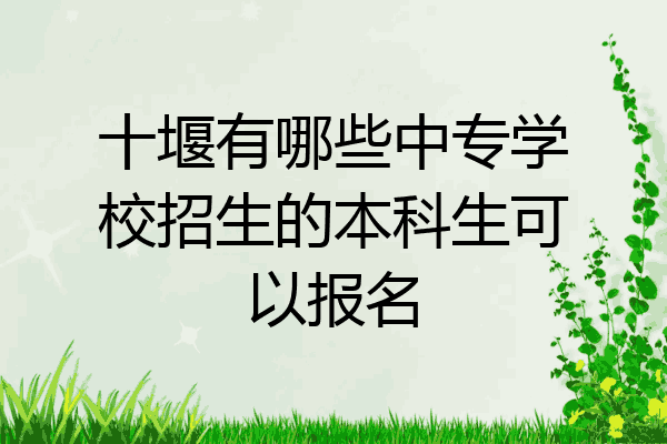 十堰有哪些中专学校招生的本科生可以报名