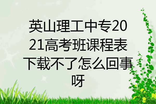英山理工中专2021高考班课程表下载不了怎么回事呀