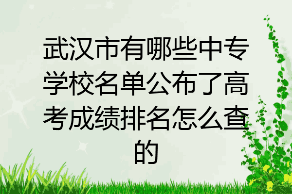 武汉市有哪些中专学校名单公布了高考成绩排名怎么查的