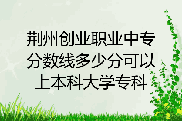 荆州创业职业中专分数线多少分可以上本科大学专科