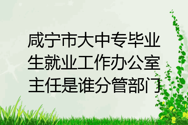咸宁市大中专毕业生就业工作办公室主任是谁分管部门
