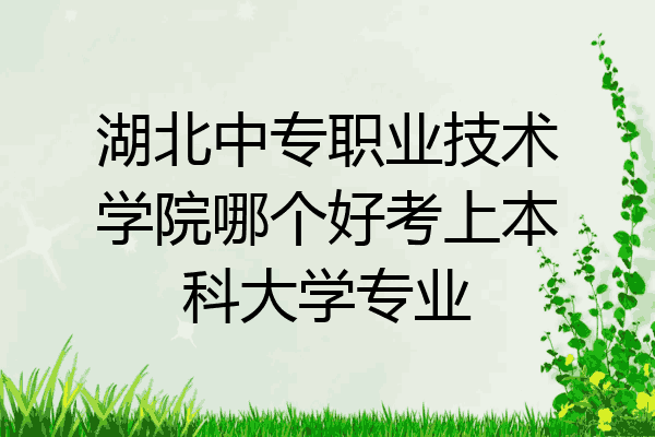 湖北中专职业技术学院哪个好考上本科大学专业