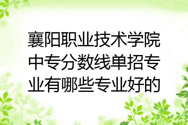 襄阳职业技术学院中专分数线单招专业有哪些专业好的