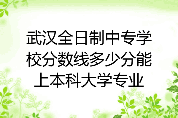 武汉全日制中专学校分数线多少分能上本科大学专业