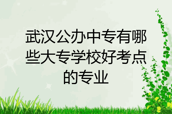 武汉公办中专有哪些大专学校好考点的专业