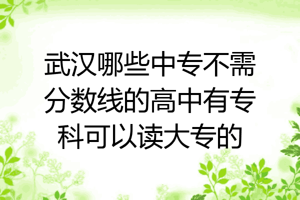 武汉哪些中专不需分数线的高中有专科可以读大专的