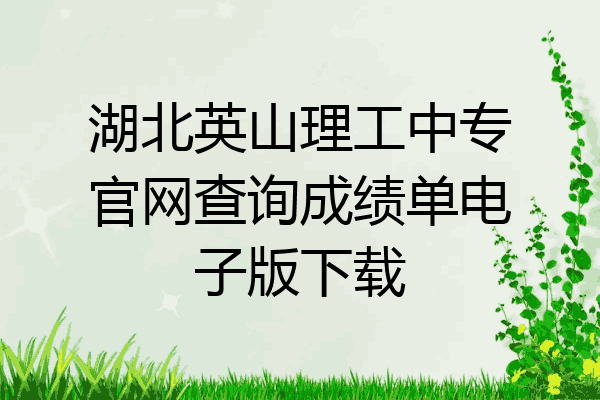 湖北英山理工中专官网查询成绩单电子版下载