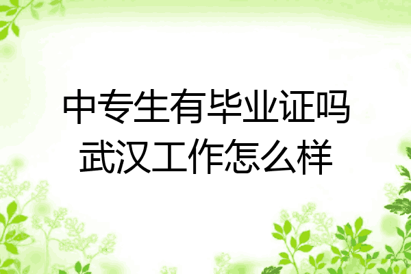 中专生有毕业证吗武汉工作怎么样
