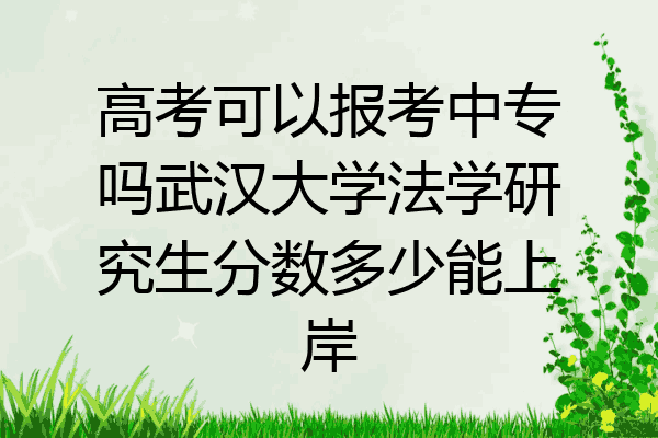 高考可以报考中专吗武汉大学法学研究生分数多少能上岸