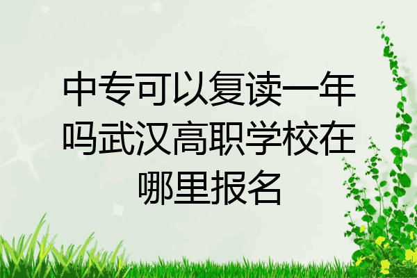 中专可以复读一年吗武汉高职学校在哪里报名