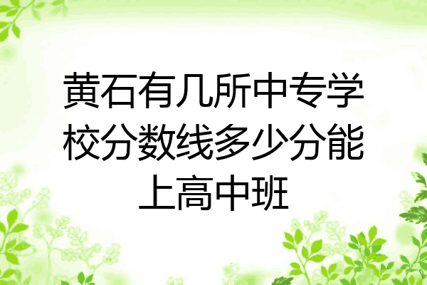 黄石有几所中专学校分数线多少分能上高中班