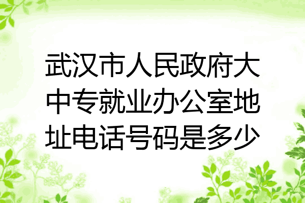 武汉市人民政府大中专就业办公室地址电话号码是多少