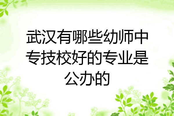 武汉有哪些幼师中专技校好的专业是公办的