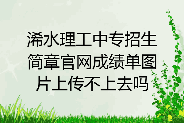 浠水理工中专招生简章官网成绩单图片上传不上去吗