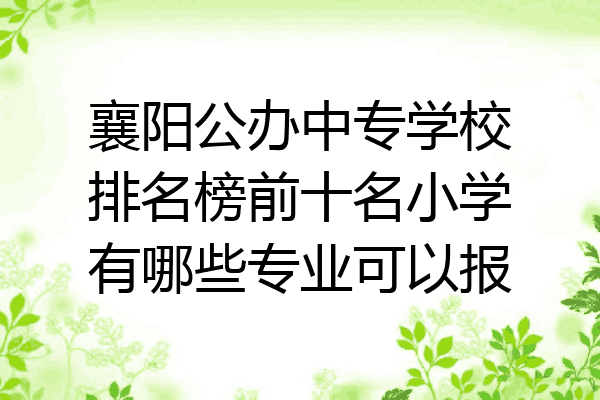 襄阳公办中专学校排名榜前十名小学有哪些专业可以报