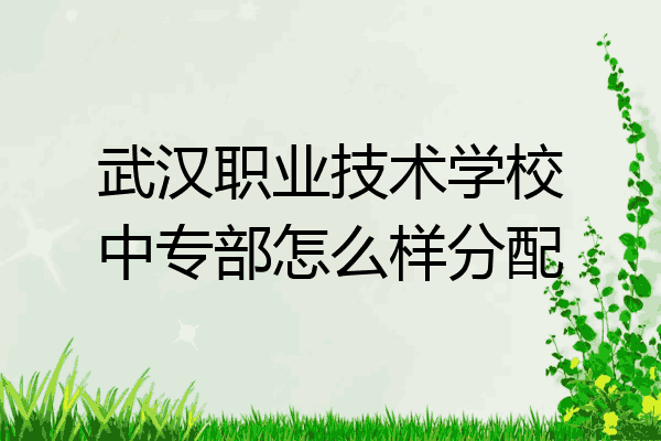 武汉职业技术学校中专部怎么样分配