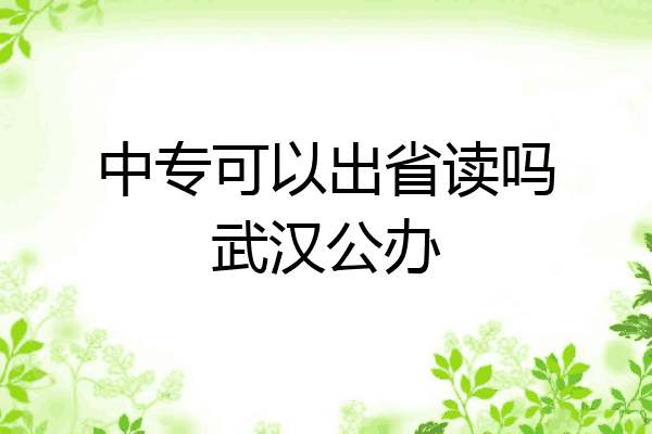 中专可以出省读吗武汉公办
