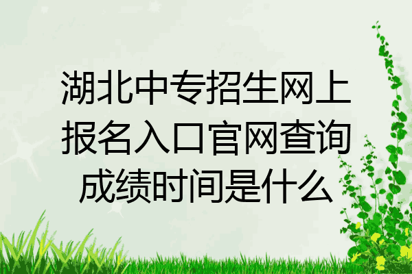 湖北中专招生网上报名入口官网查询成绩时间是什么