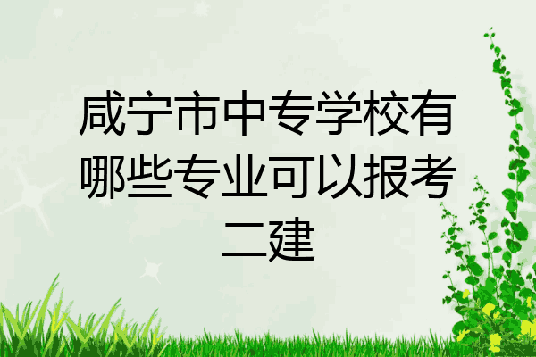 咸宁市中专学校有哪些专业可以报考二建