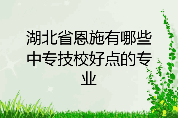 湖北省恩施有哪些中专技校好点的专业