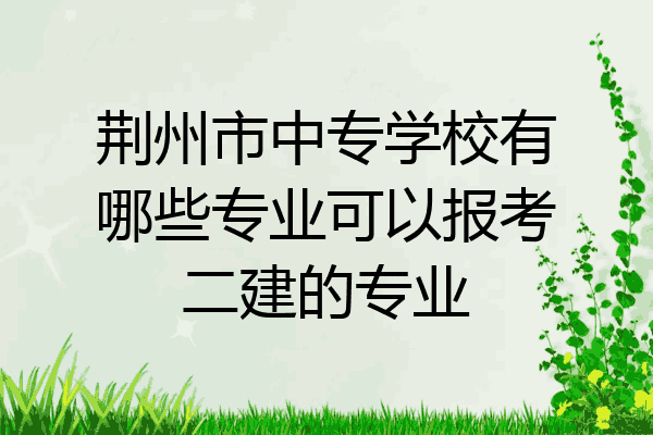 荆州市中专学校有哪些专业可以报考二建的专业