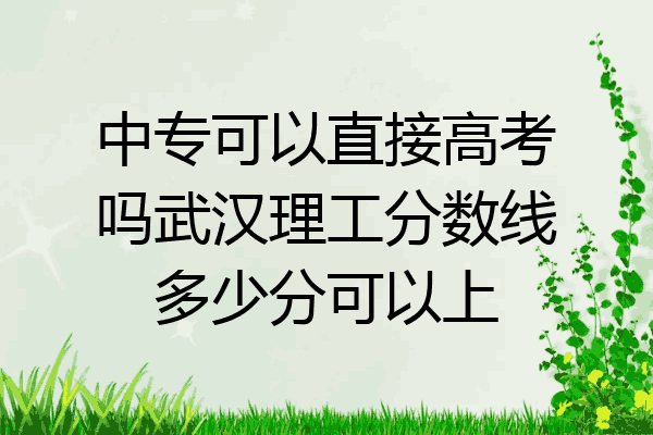 中专可以直接高考吗武汉理工分数线多少分可以上