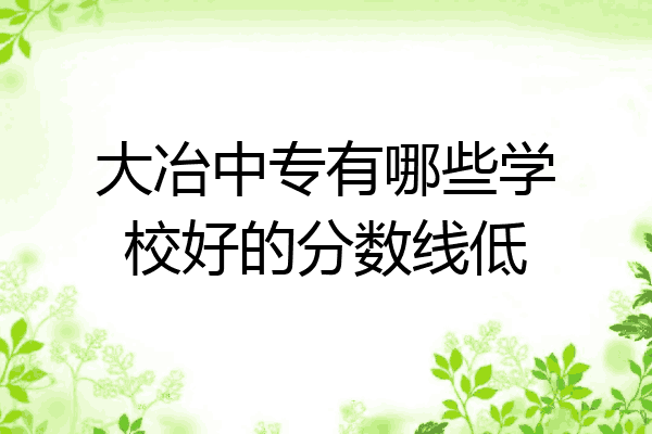 大冶中专有哪些学校好的分数线低